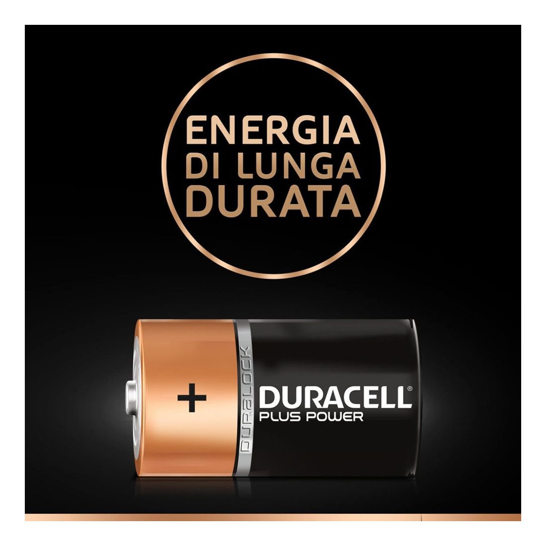 Blister 2 batterie torcia Duracell plus power alcalina LR20 1,5V